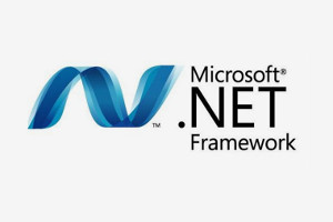 .NET Framework Development